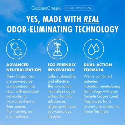 Chilly Rain Showers Odor Eliminating Room Spray