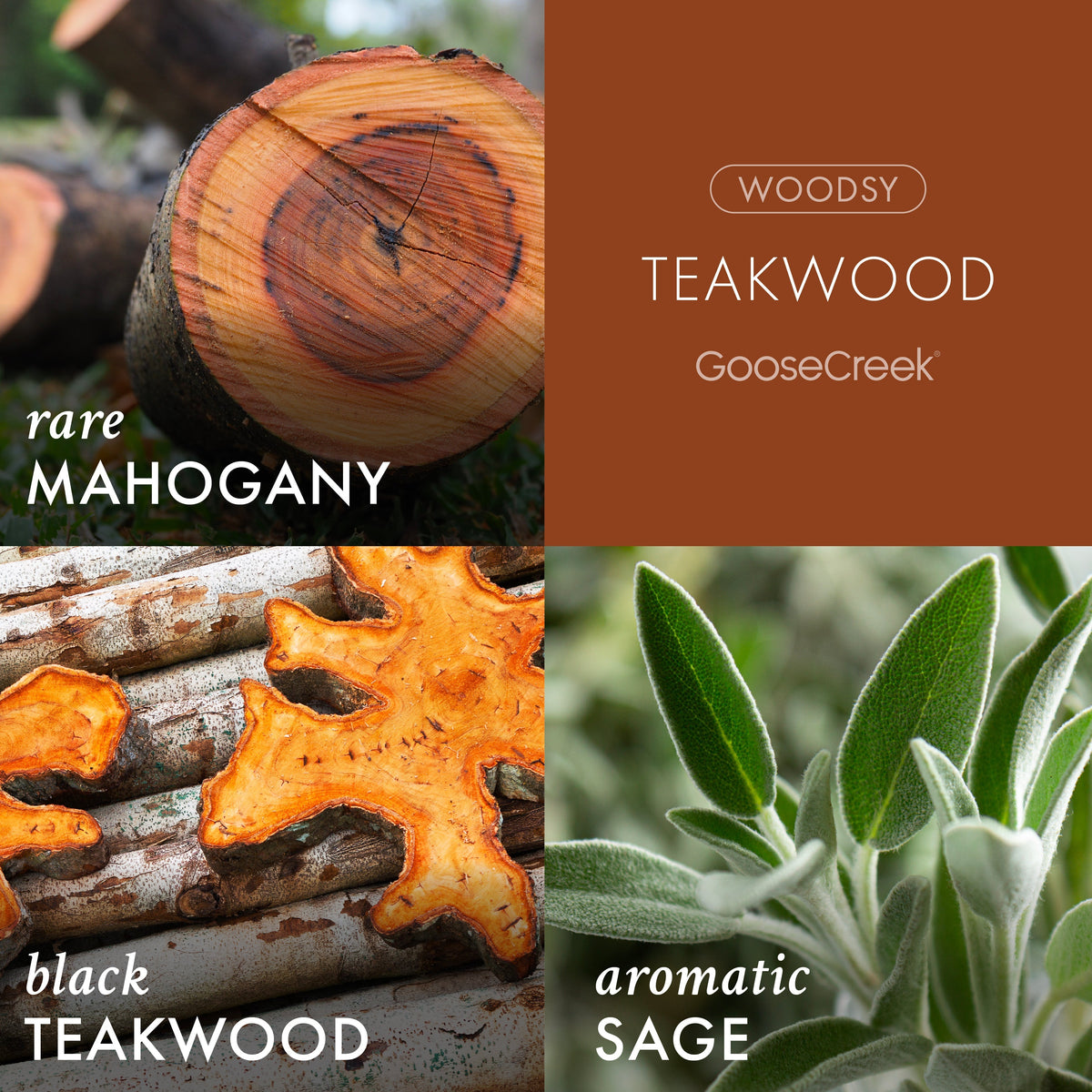 Teakwood Odor Eliminating Wax Melt